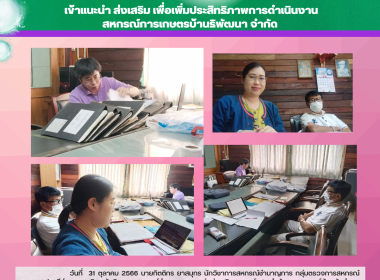 เข้าแนะนำ ส่งเสริม ... พารามิเตอร์รูปภาพ 4